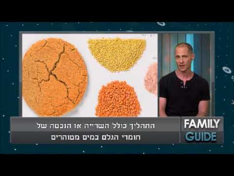 כיצד מכינים לחם ללא גלוטן, ללא שמרים וללא חומרים משמרים